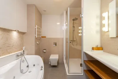 A contemporary bathroom with a bathtub and separate shower