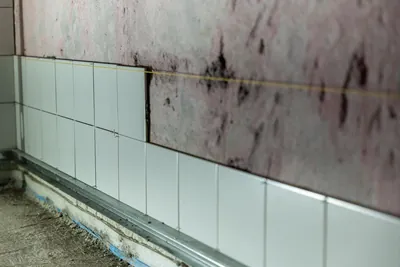 A partially tiled wall in a bathroom mid-renovation